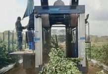 Agricultores del Prodesal de Indap Cañete participaron de gira técnica a la Región de Ñuble