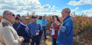 Agroseguros del MINAGRI entregó indemnizaciones por más de $76 millones a pequeños arandaneros del Maule afectados por heladas