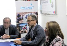 Alianza entre Sercotec y ProChile busca impulsar a Mipymes pre exportadoras del Biobío