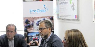 Alianza entre Sercotec y ProChile busca impulsar a Mipymes pre exportadoras del Biobío