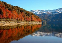 CONAF amplía plazo para postular a los concursos del fondo de conservación de la Ley de Bosque Nativo