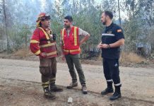 CONAF confirmó que parques nacionales tuvieron afectación mínima por incendios forestales