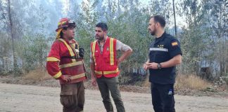 CONAF confirmó que parques nacionales tuvieron afectación mínima por incendios forestales