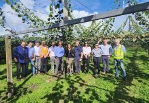 Chile y Nueva Zelanda: Dos potencias exportadoras de frutas del hemisferio sur buscan estrechar lazos y avanzar en la cooperación