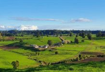 Con ofertas especiales y demostraciones en vivo Field Days Chile celebra 10 años de historia