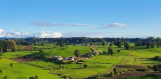 Con ofertas especiales y demostraciones en vivo Field Days Chile celebra 10 años de historia