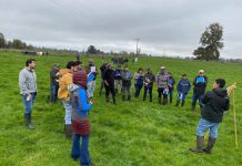 Consorcio Lechero presentó nueva Guía de Campo sobre manejo de pastoreo