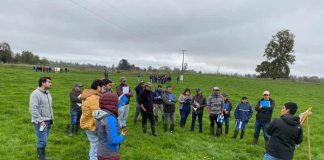 Consorcio Lechero presentó nueva Guía de Campo sobre manejo de pastoreo