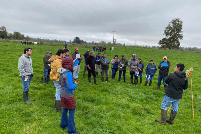 Consorcio Lechero presentó nueva Guía de Campo sobre manejo de pastoreo