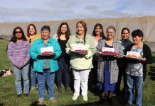 Consorcio Tecnológico de la Fruta da a conocer 4 nuevas variedades de frambuesas 100% chilenas