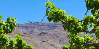 Cooperativas de la región de Coquimbo buscan un salto productivo implementando tecnologías en sus procesos