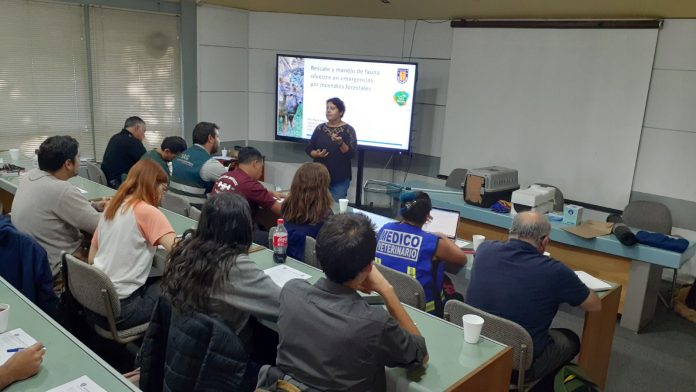En Veterinaria UdeC capacitan sobre rescate y manejo de fauna silvestre en emergencias por incendios forestales