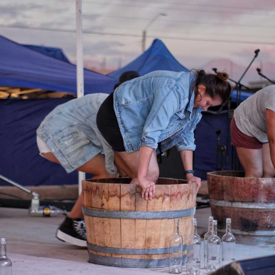 FIESTA DE LA VENDIMIA San Pedro de Atacama 2023, AYLLU WINE