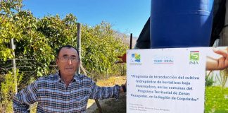 Familias campesinas podrían generar ingresos extra con sistema de cultivo hidropónico