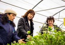 Fundadora de Suryuis recibe premio regional a la Mujer Innovadora en Agricultura de Aysén