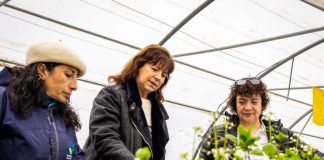 Fundadora de Suryuis recibe premio regional a la Mujer Innovadora en Agricultura de Aysén
