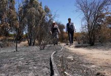 INDAP ENTREGA PRIMEROS BONOS DE 1 Y 3 MILLONES DE PESOS A PEQUEÑOS AGRICULTORES AFECTADOS POR INCENDIOS