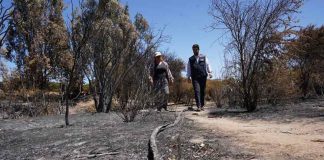 INDAP ENTREGA PRIMEROS BONOS DE 1 Y 3 MILLONES DE PESOS A PEQUEÑOS AGRICULTORES AFECTADOS POR INCENDIOS