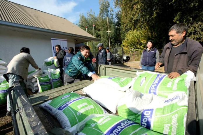 INDAP inició entrega de alimento animal para 2.300 pequeños ganaderos de Alto Biobío