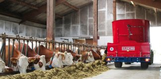 Industria lechera ¿Por qué la maquinaria es tan importante para una producción eficiente