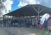 Innovar en la búsqueda de talentos de recursos humanos para la agroindustria, una metodología que requiere estar en terreno. INNOVA TALENTOS