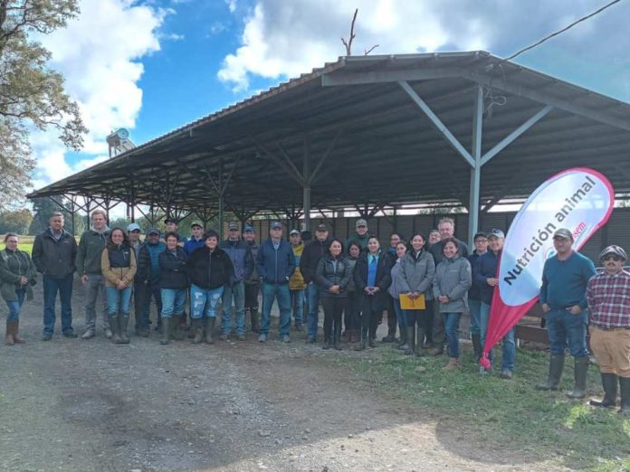 Innovar en la búsqueda de talentos de recursos humanos para la agroindustria, una metodología que requiere estar en terreno. INNOVA TALENTOS