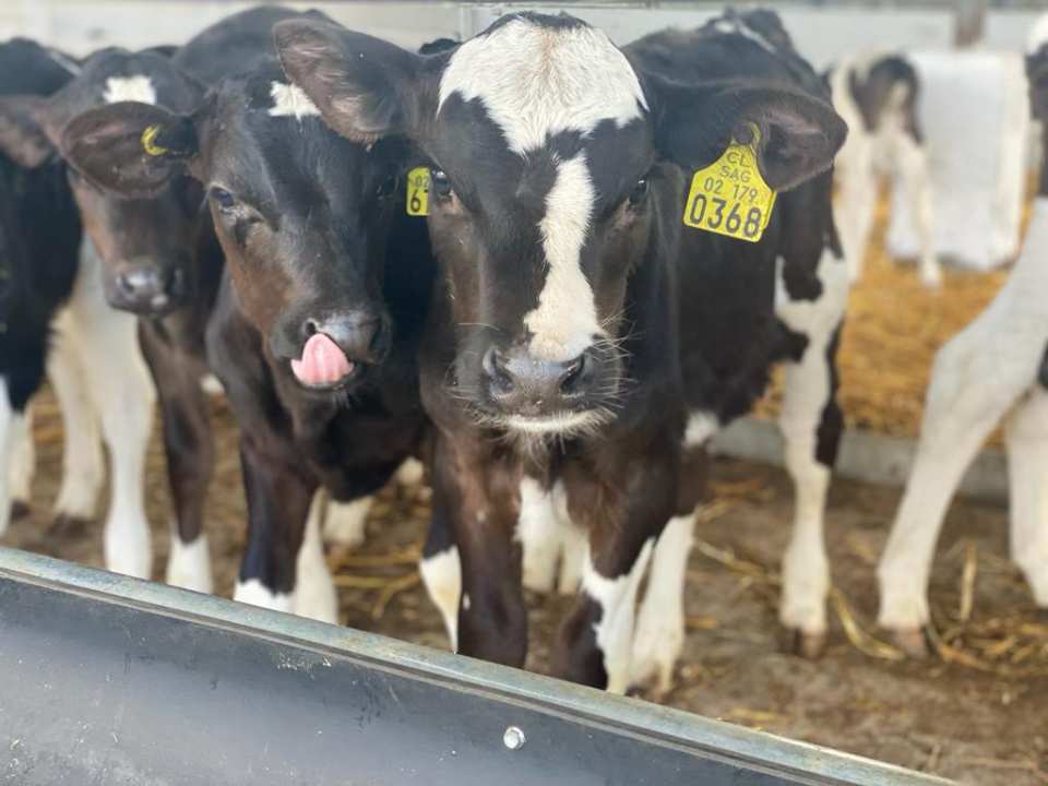 Innovar en la búsqueda de talentos de recursos humanos para la agroindustria, una metodología que requiere estar en terreno. INNOVA TALENTOS