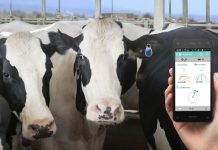 La ciencia e innovación como motores de “Una Salud”