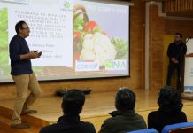 Lanzan Programa de Difusión Tecnológica que busca mejorar la inocuidad en la producción hortícola de Chiloé