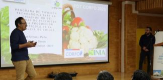 Lanzan Programa de Difusión Tecnológica que busca mejorar la inocuidad en la producción hortícola de Chiloé