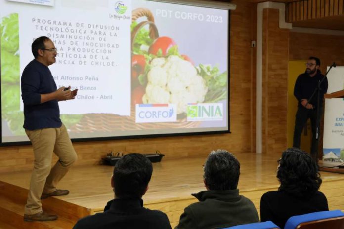 Lanzan Programa de Difusión Tecnológica que busca mejorar la inocuidad en la producción hortícola de Chiloé