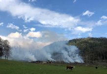 Levantan prohibición de quemas agrícolas controladas en la Región del Biobío 