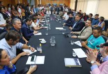 Ministerio de Agricultura lanza mesa de trabajo para enfrentar proliferación del chinche del arce  