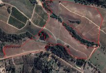 Producir alimentos Libre de Deforestación es un compromiso para exportar a Europa