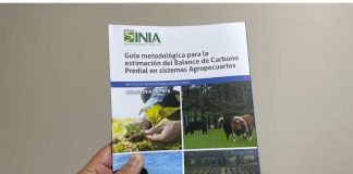 Publican primera guía metodológica para estimar las emisiones y absorciones de carbono en sistemas de producción agropecuarios 