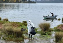 SAG continúa trabajo de vigilancia en Chiloé por Influenza Aviar SAG continúa trabajo de vigilancia en Chiloé por Influenza Aviar