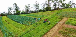 Serie documental muestra cómo las empresas de alimentos y los supermercados pueden ayudar a la naturaleza