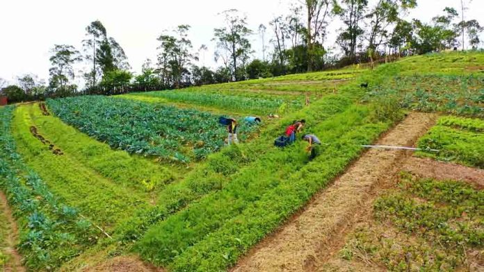 Serie documental muestra cómo las empresas de alimentos y los supermercados pueden ayudar a la naturaleza