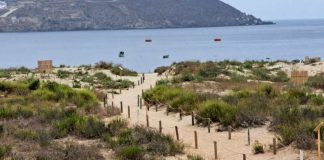 Tesista UCN estudia mecanismos de rehabilitación de duna de Playa La Herradura en Coquimbo