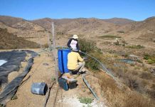 Agricultores de Punitaqui mejoran sus sistemas de riego gracias al apoyo de INIA Intihuasi