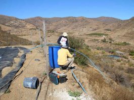 Agricultores de Punitaqui mejoran sus sistemas de riego gracias al apoyo de INIA Intihuasi