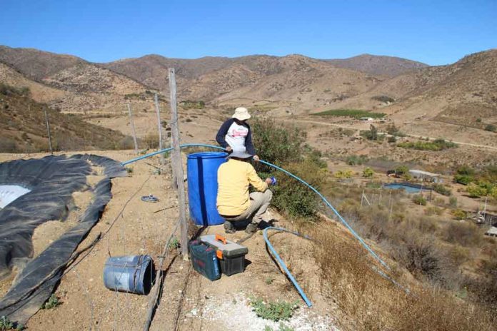 Agricultores de Punitaqui mejoran sus sistemas de riego gracias al apoyo de INIA Intihuasi