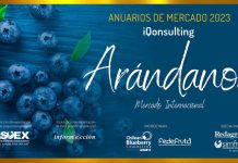 Anuario de Arándanos 2023, Mercado Internacional, de iQonsulting