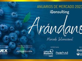 Anuario de Arándanos 2023, Mercado Internacional, de iQonsulting