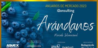 Anuario de Arándanos 2023, Mercado Internacional, de iQonsulting