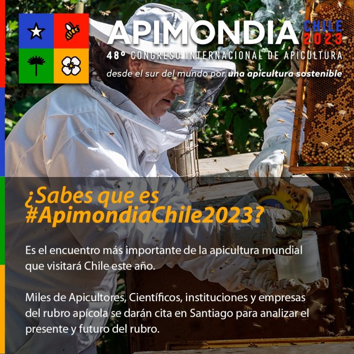 Día Mundial de la Abeja: Sector Apícola Nacional se reunirá ad portas de Apimondia Chile 2023