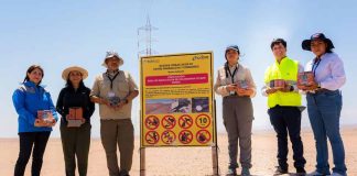 Día Mundial de las Aves Migratorias: Avances en el conocimiento para la conservación de la golondrina de mar negra  