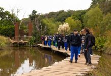 Educación medioambiental la importancia de comenzar en etapas tempranas