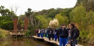 Educación medioambiental la importancia de comenzar en etapas tempranas