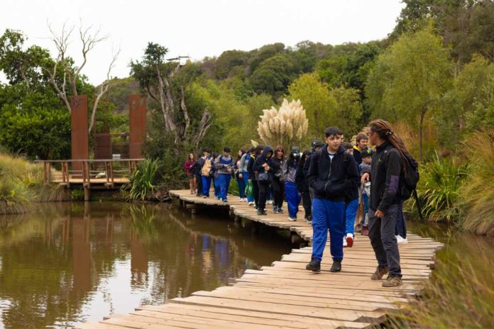 Educación medioambiental la importancia de comenzar en etapas tempranas